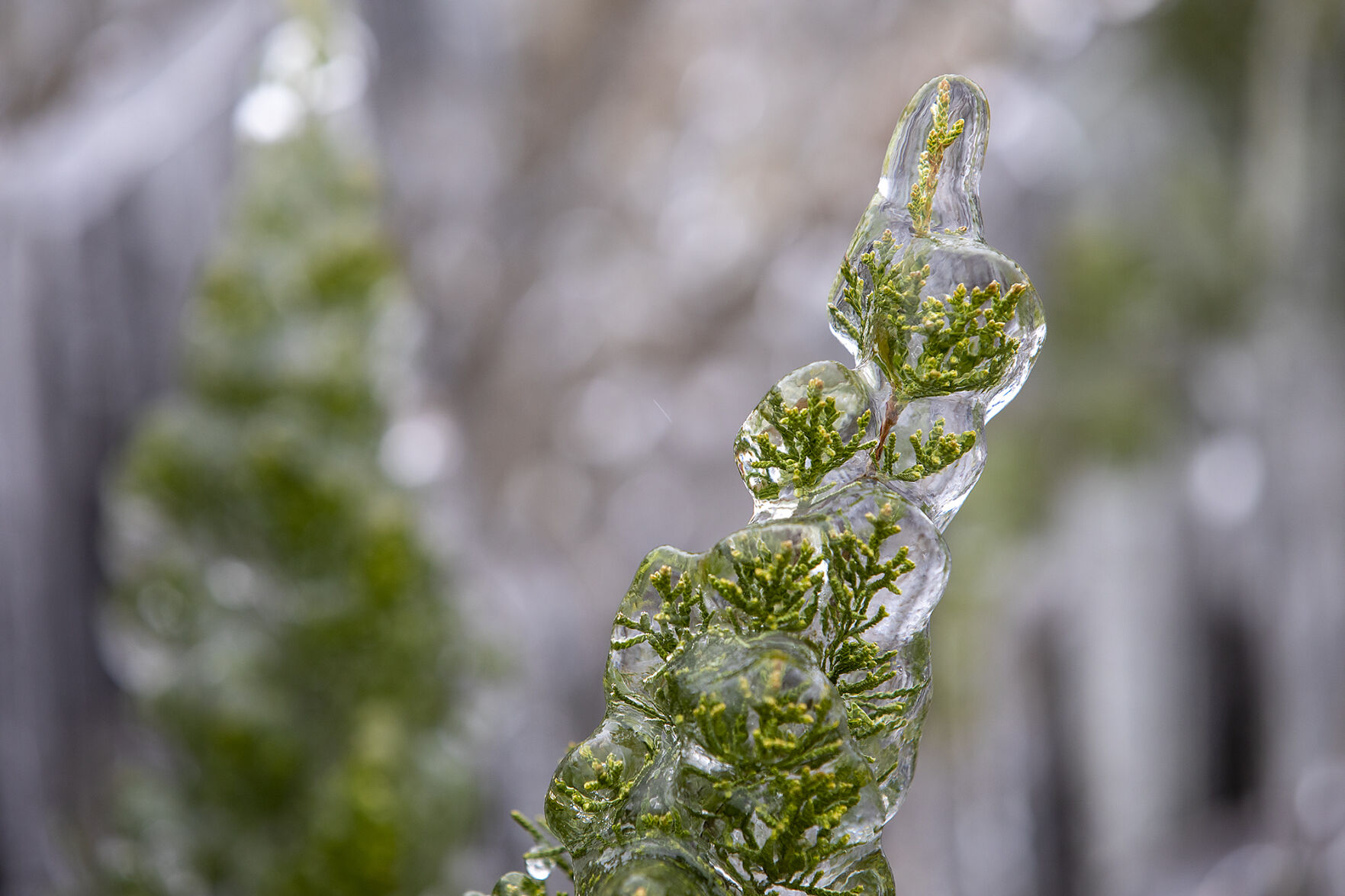 Winter weather